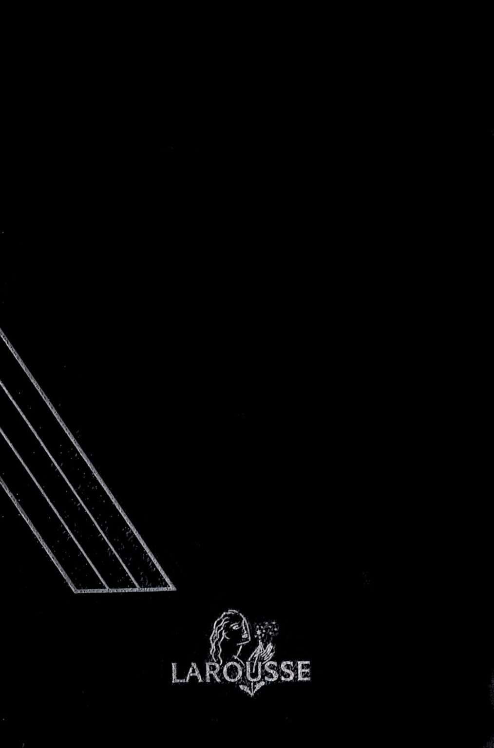 Diccionario Ingl s Espa ol Larousse PDF Diccionario Ingl s Espa ol Larousse PDF